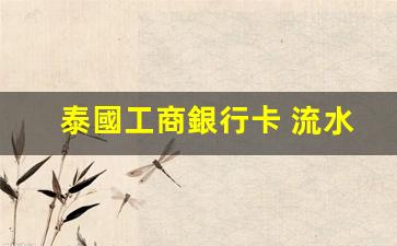 泰國工商銀行卡 流水(中國工商銀行流水賬)